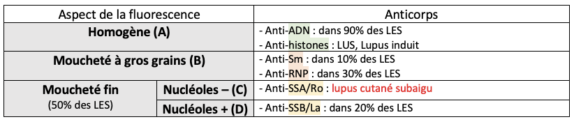 Patterns de fluorescence des anticorps anti-nucléaires